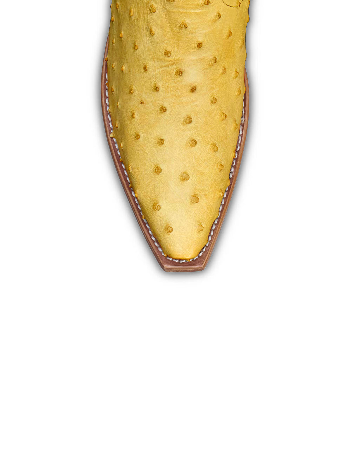 Contrast Yellow And Ostrich Print Snip-Toe Cactus Embroidery Mid Calf Cowgirl Boots