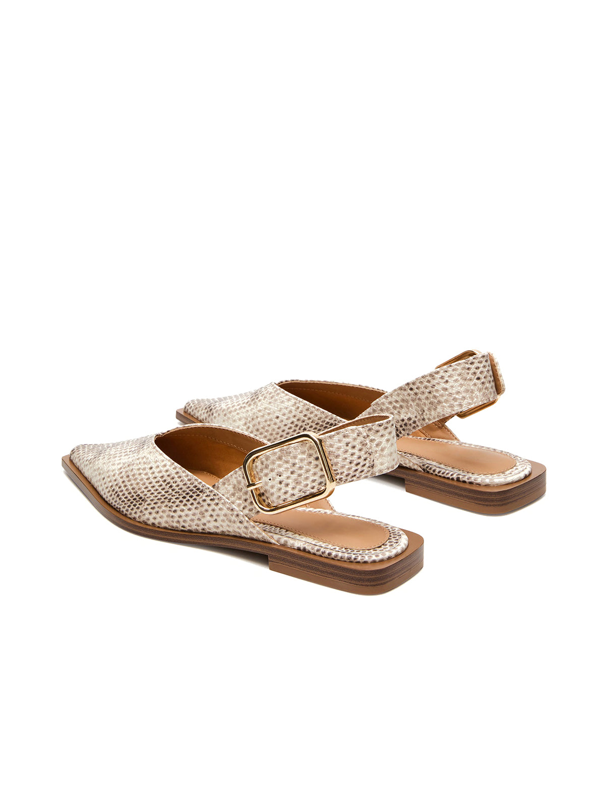 Snakeskin Pointed-Toe Big Slingback Flats