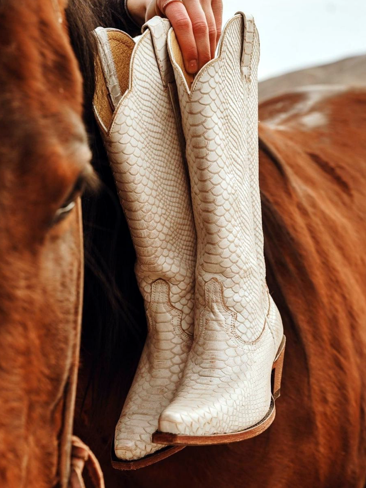 Ivory Snakeskin Snip-Toe Wide Mid Calf Tall Cowgirl Boots