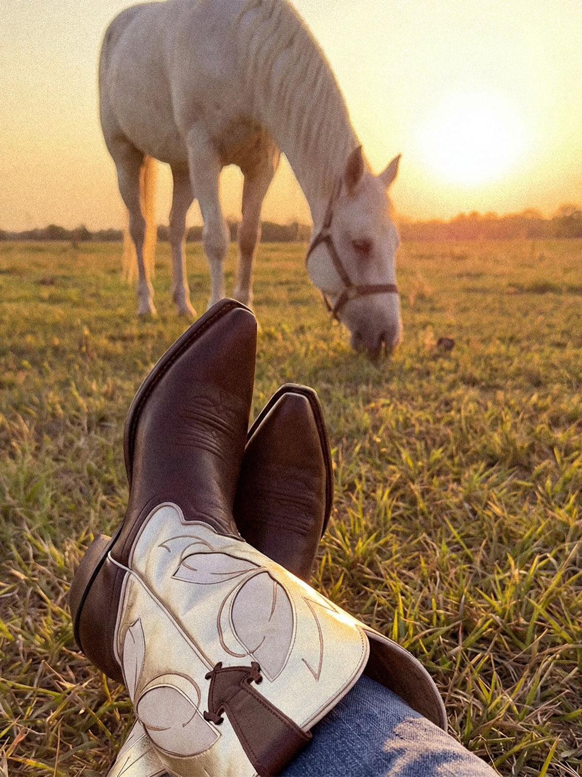 Contrast Metallic Gold And Black Snip-Toe Butterfly Inlay Wide Calf Knee High Cowgirl Boots