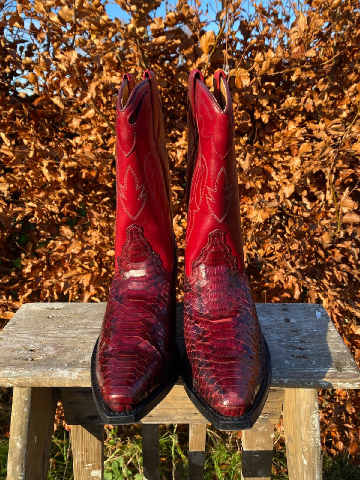 Contrast Snakeskin And Red Snip-Toe Embroidery Wide Mid Calf Cowgirl Boots