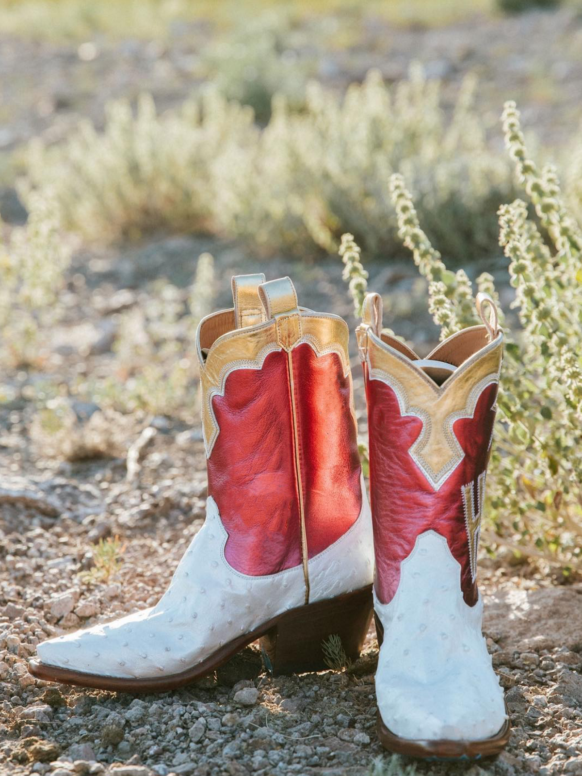 Contrast Tri-Color Ostrich-Textured And Metallic Vegan Leather Heart Star Letter Inlay Cowgirl Boots - Red