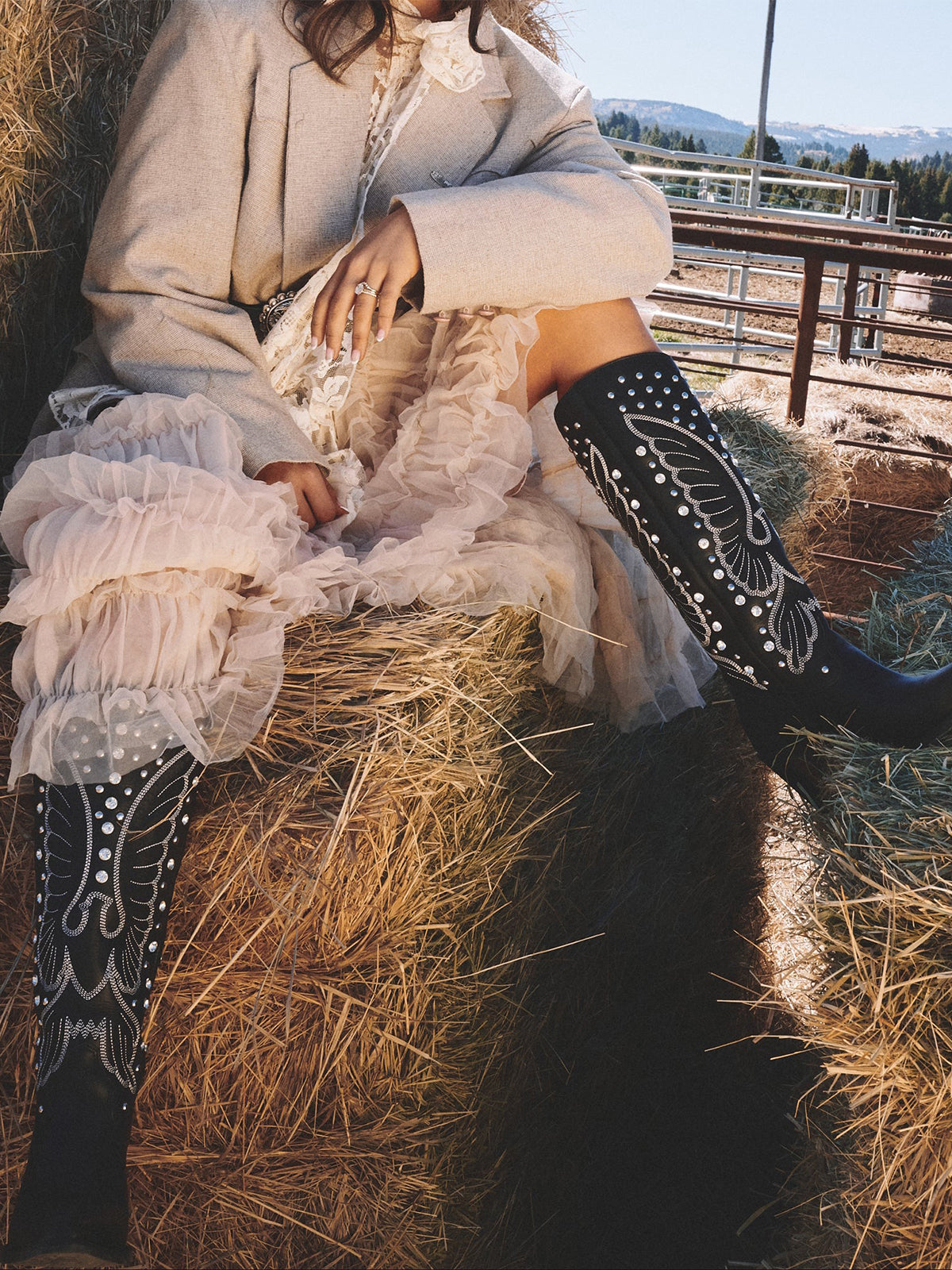 Black Snip-Toe Big Bird Embroidery And Studs Wide Calf Knee High Cowgirl Boots