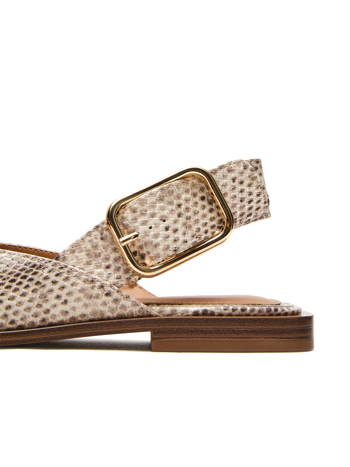 Snakeskin Pointed-Toe Big Slingback Flats