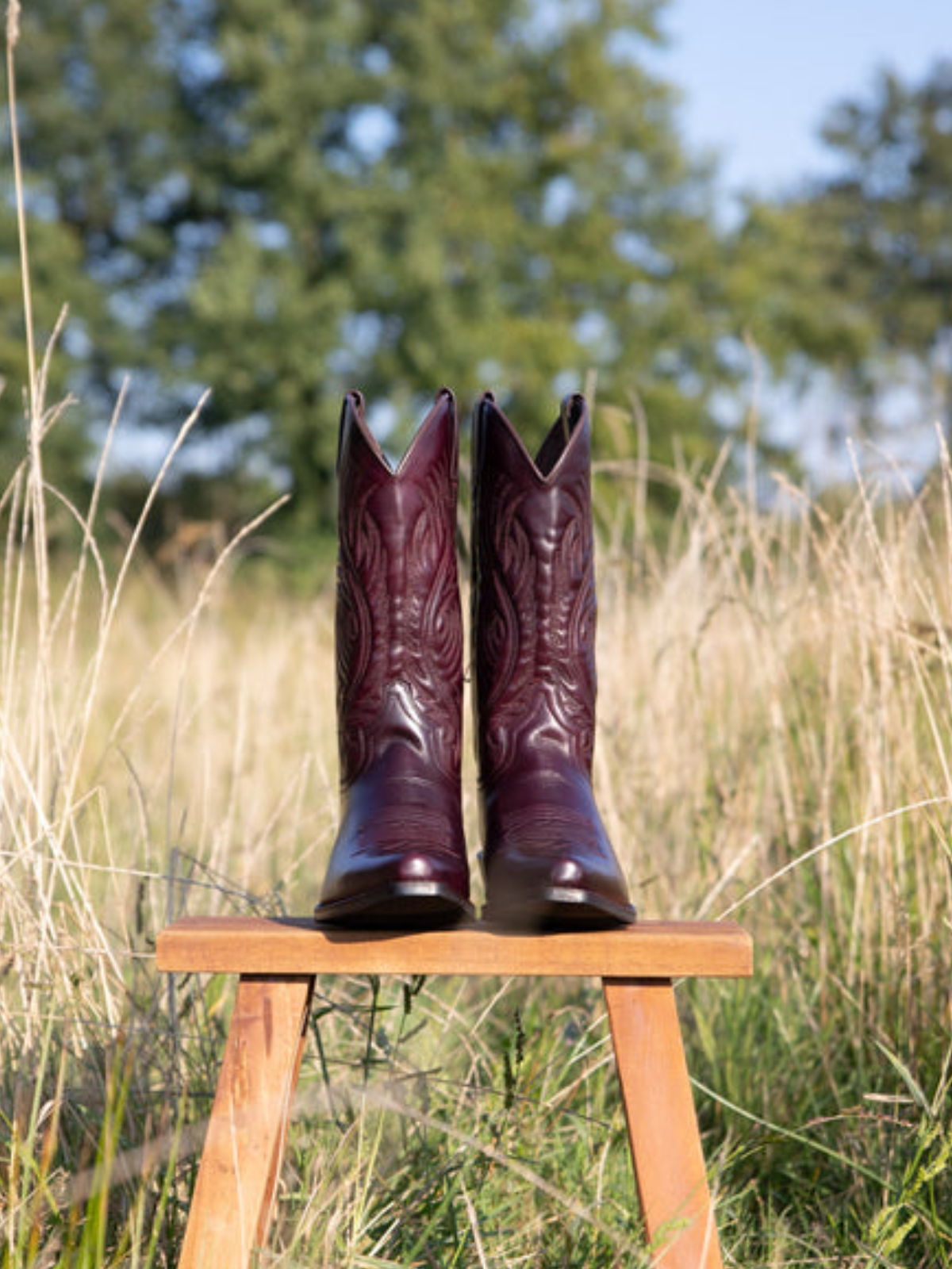 Dark Purple Snip-Toe Embroidery Wide Mid Calf Cowgirl Boots