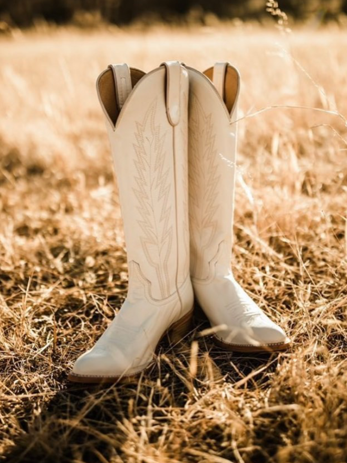 Ivory Embroidery Almond-Toe Wide Mid Calf Cowboy Tall Boots For Women