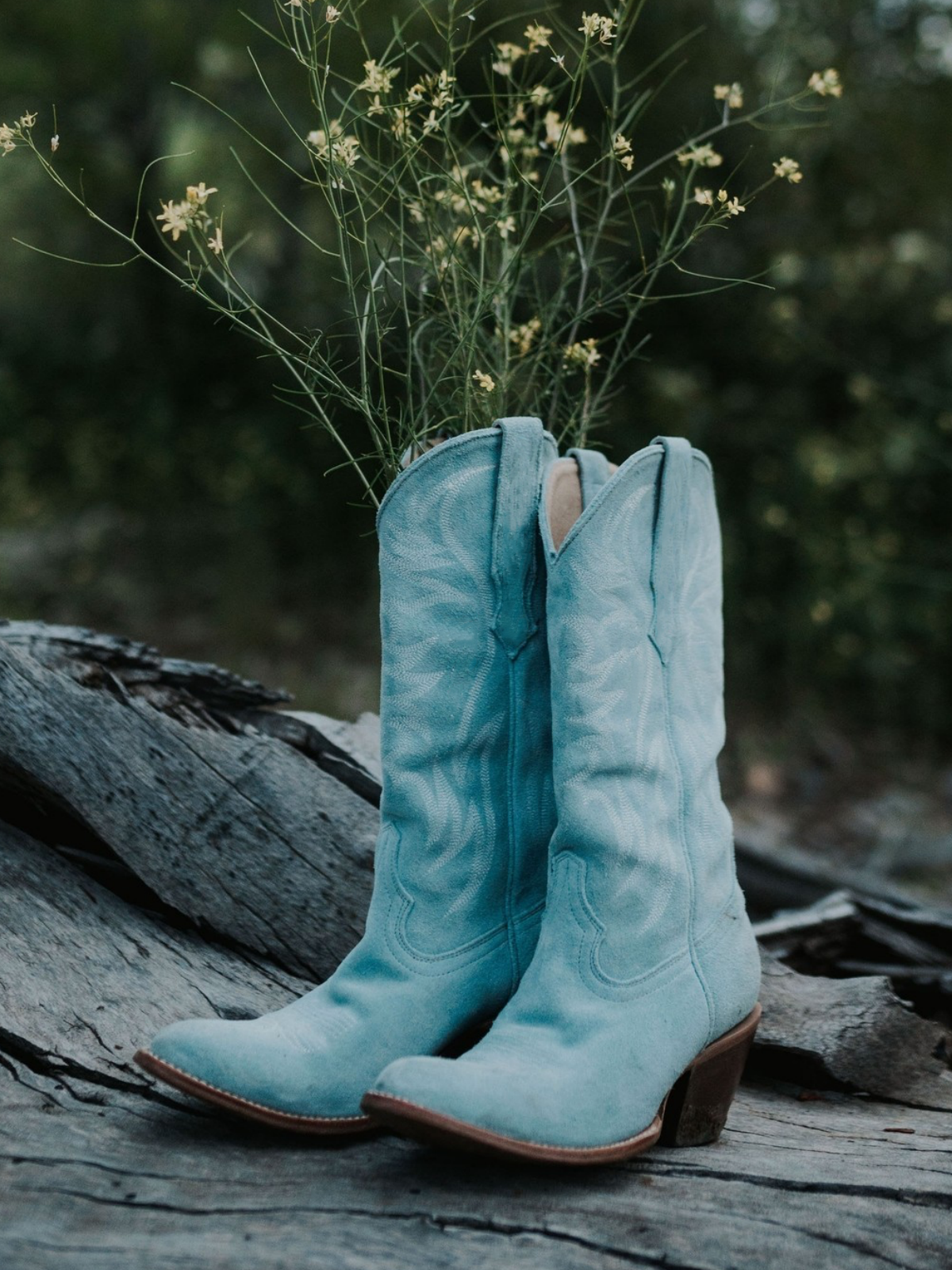 Faux Suede Wings Embroidery Pointed-Toe Wide Mid Calf Tall Cowgirl Boots - Blue