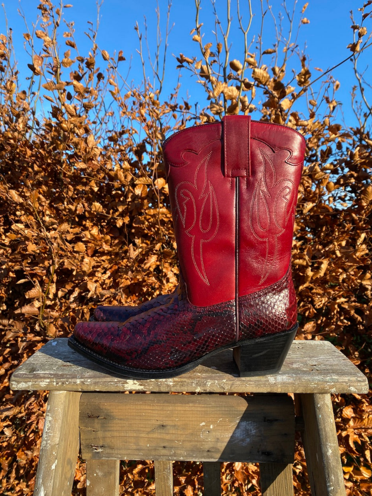 Contrast Snakeskin And Red Snip-Toe Embroidery Wide Mid Calf Cowgirl Boots