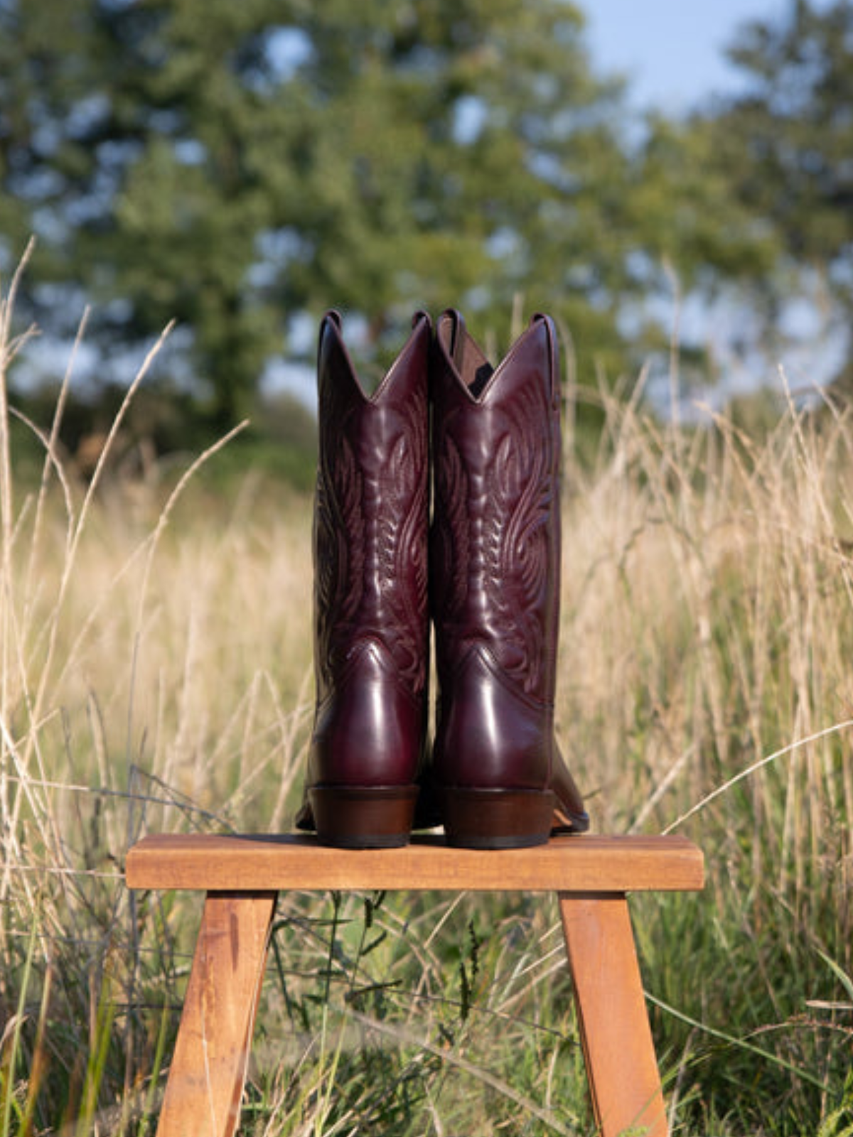 Dark Purple Snip-Toe Embroidery Wide Mid Calf Cowgirl Boots