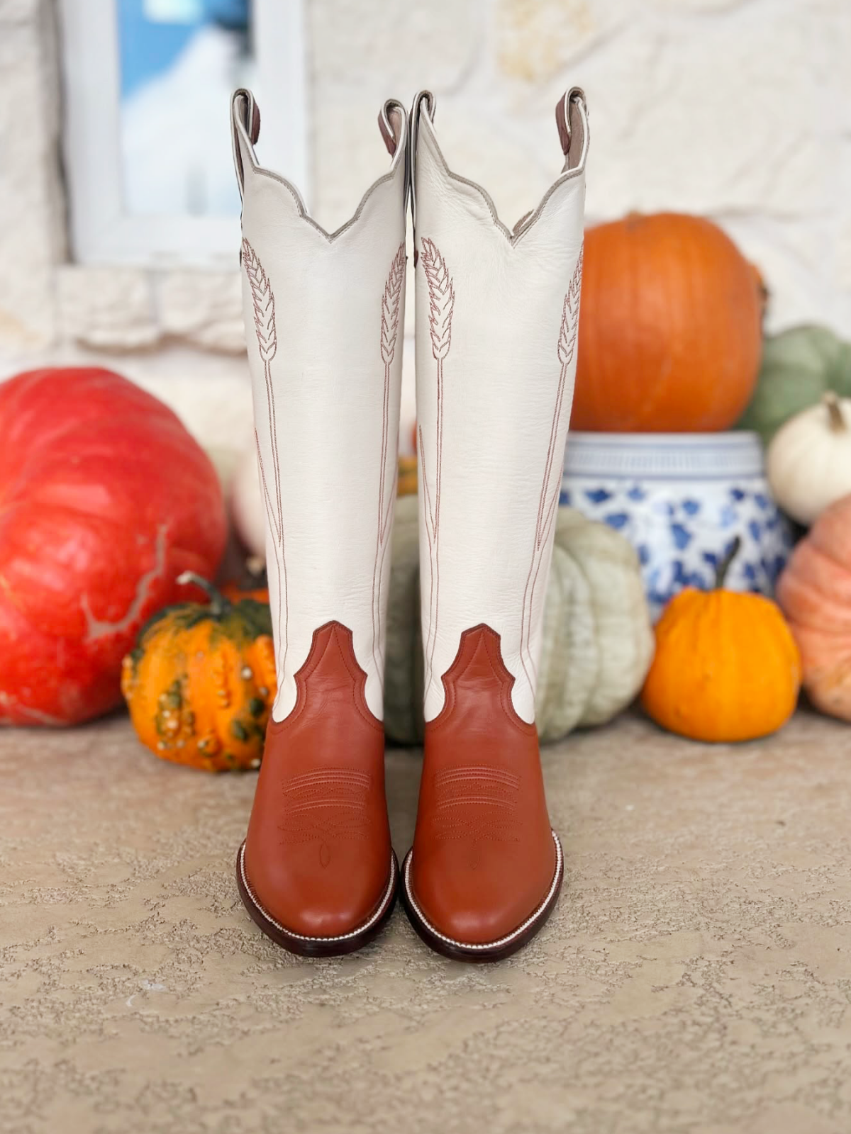 Contrast Ivory And Chestnut Almond-Toe Ear-Of-Rice Embroidery Wide Calf Knee High Cowgirl Boots