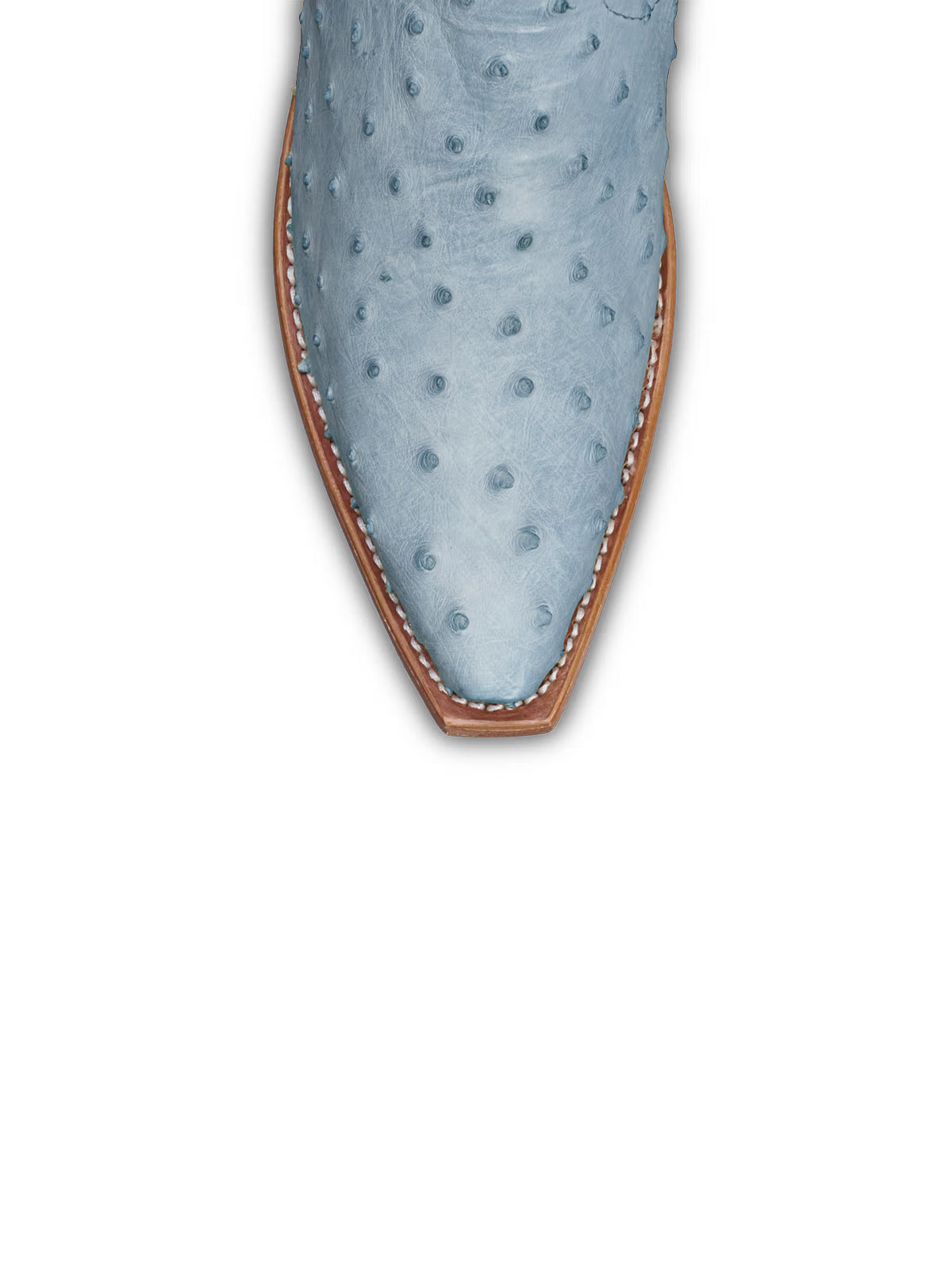 Contrast Blue And Ostrich Print Snip-Toe Cactus Embroidery Mid Calf Cowgirl Boots