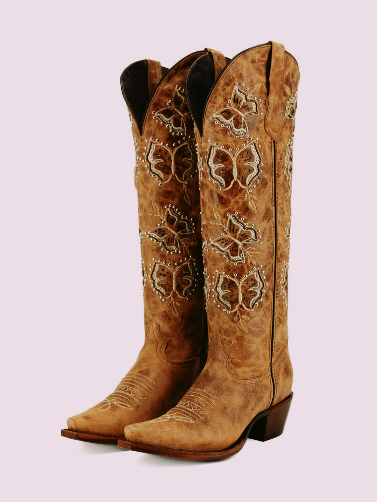 Distressed Brown Snip-Toe Studded Butterfly Inlay Wide Calf Tall Knee High Cowgirl Boots