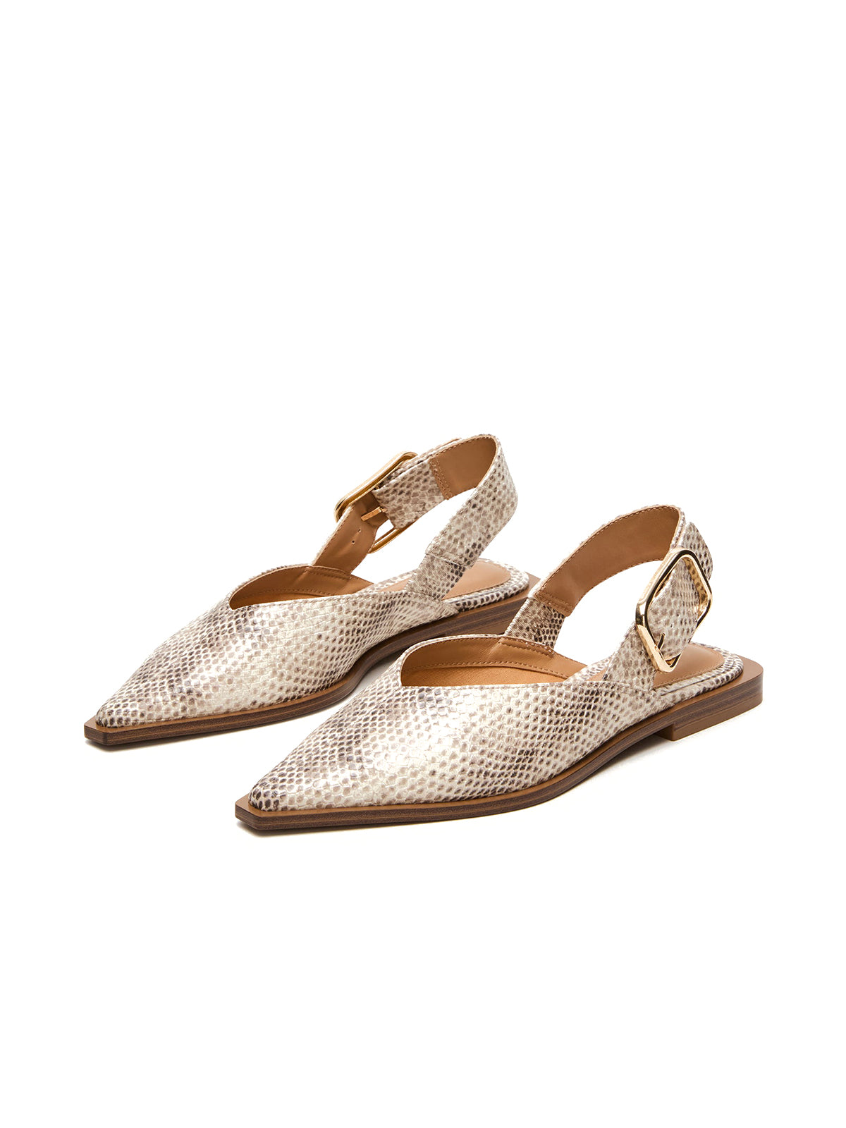 Snakeskin Pointed-Toe Big Slingback Flats