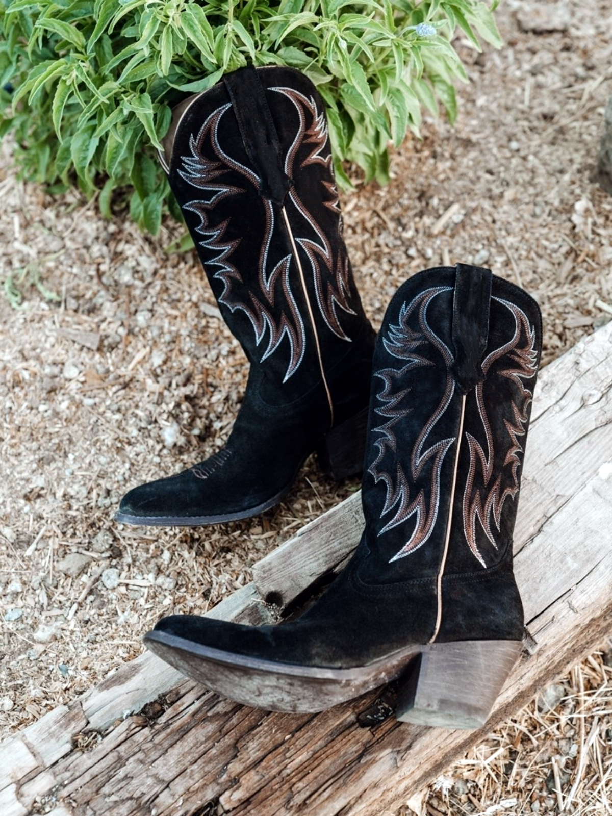 Faux Suede Wings Embroidery Pointed-Toe Wide Mid Calf Tall Cowgirl Boots - Black