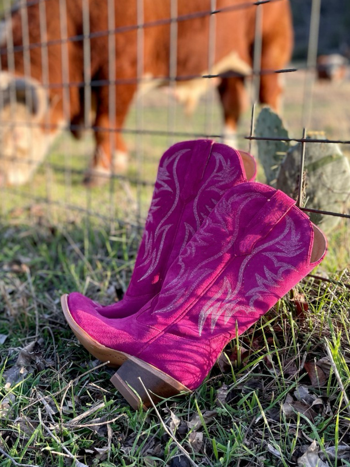 Faux Suede Wings Embroidery Pointed-Toe Wide Mid Calf Tall Cowgirl Boots - Fuchsia