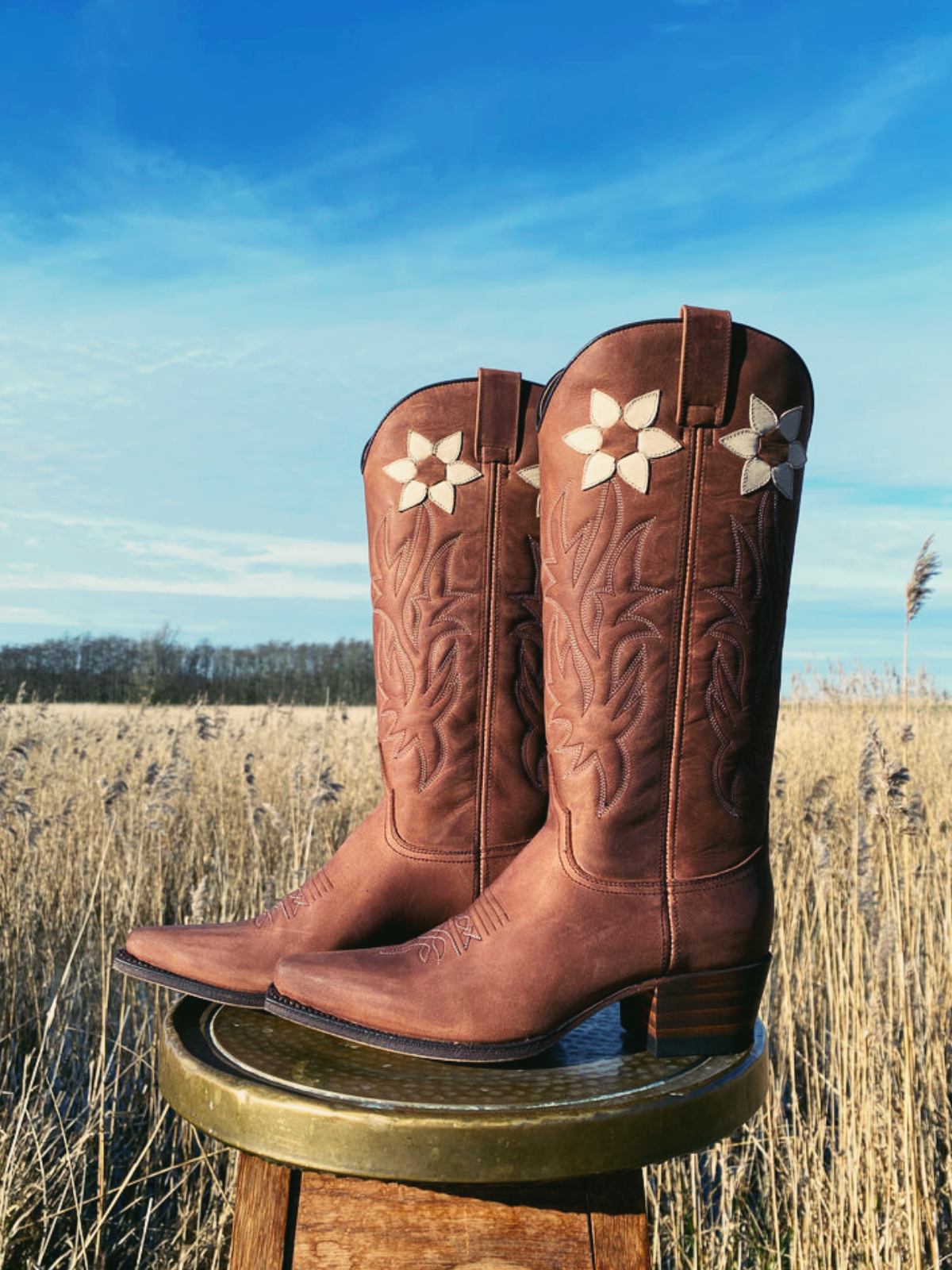 Brown Pointed-Toe Wide Mid Calf Western Cowgirl Boots With White Flower Inlay