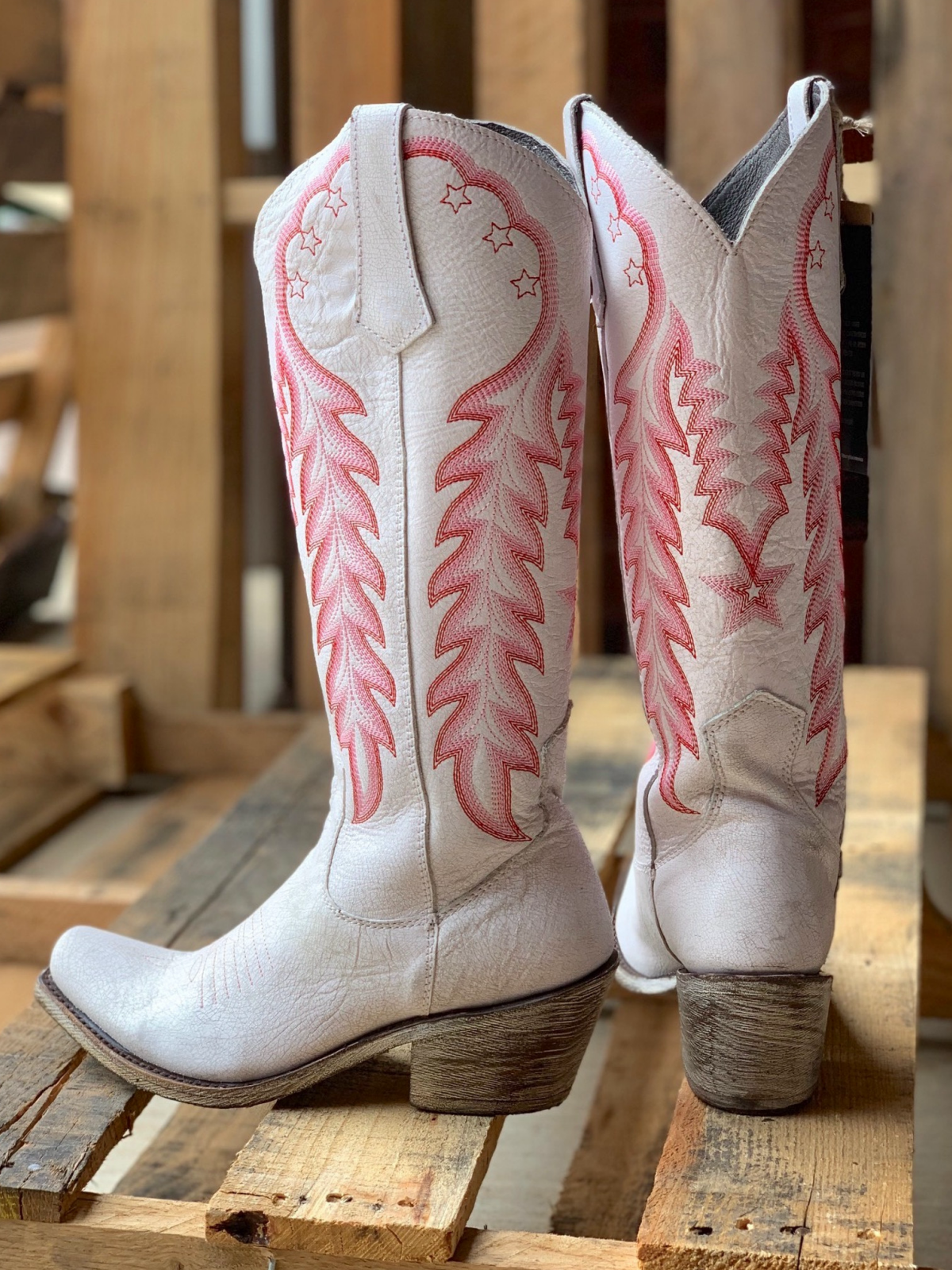 Star And Feather Embroidery Snip-Toe Wide Calf Tall Knee High Cowgirl Boots - White