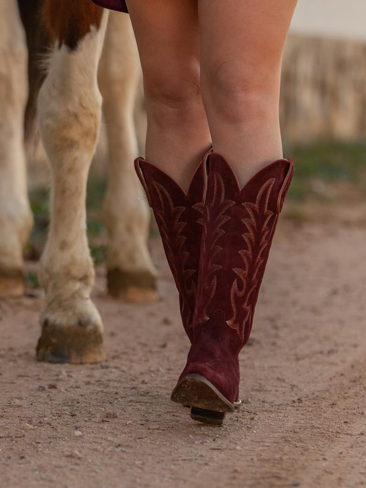 Maroon Faux Suede Embroidery Almond-Toe Wide Mid Calf Cowboy Tall Boots For Women