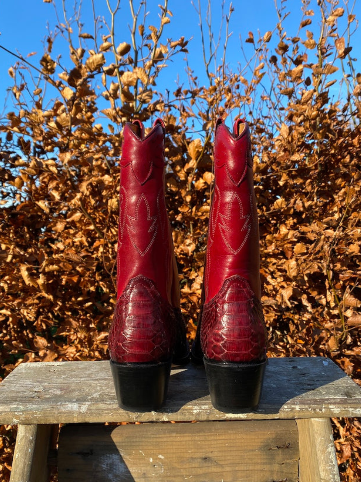 Contrast Snakeskin And Red Snip-Toe Embroidery Wide Mid Calf Cowgirl Boots