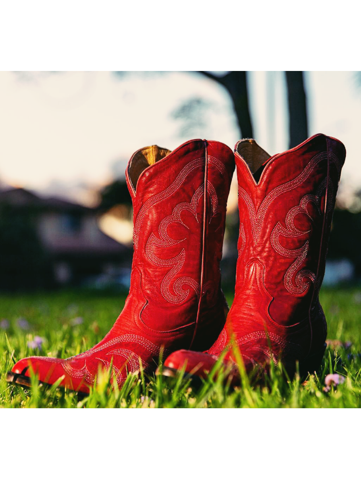 Red Embroidered Pointed-Toe Wide Mid Calf Western Cowgirl Boots